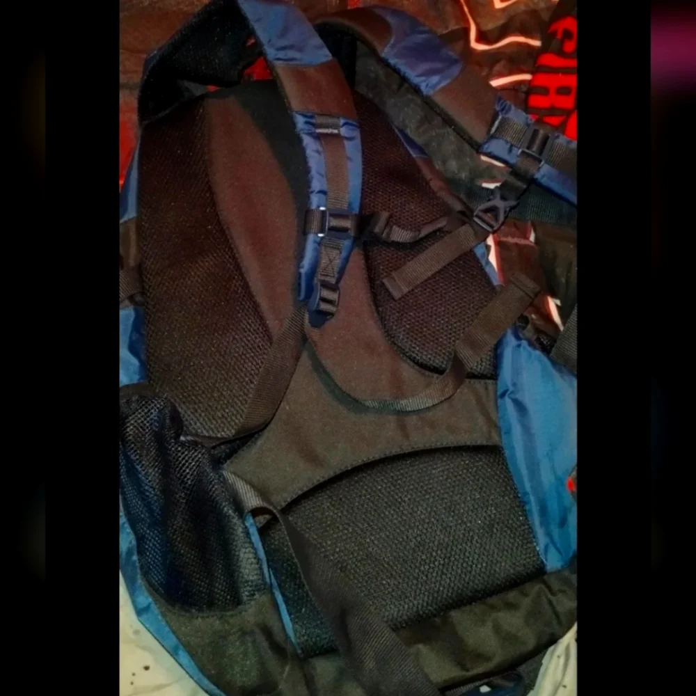 Backpack - Picture 1 of 2